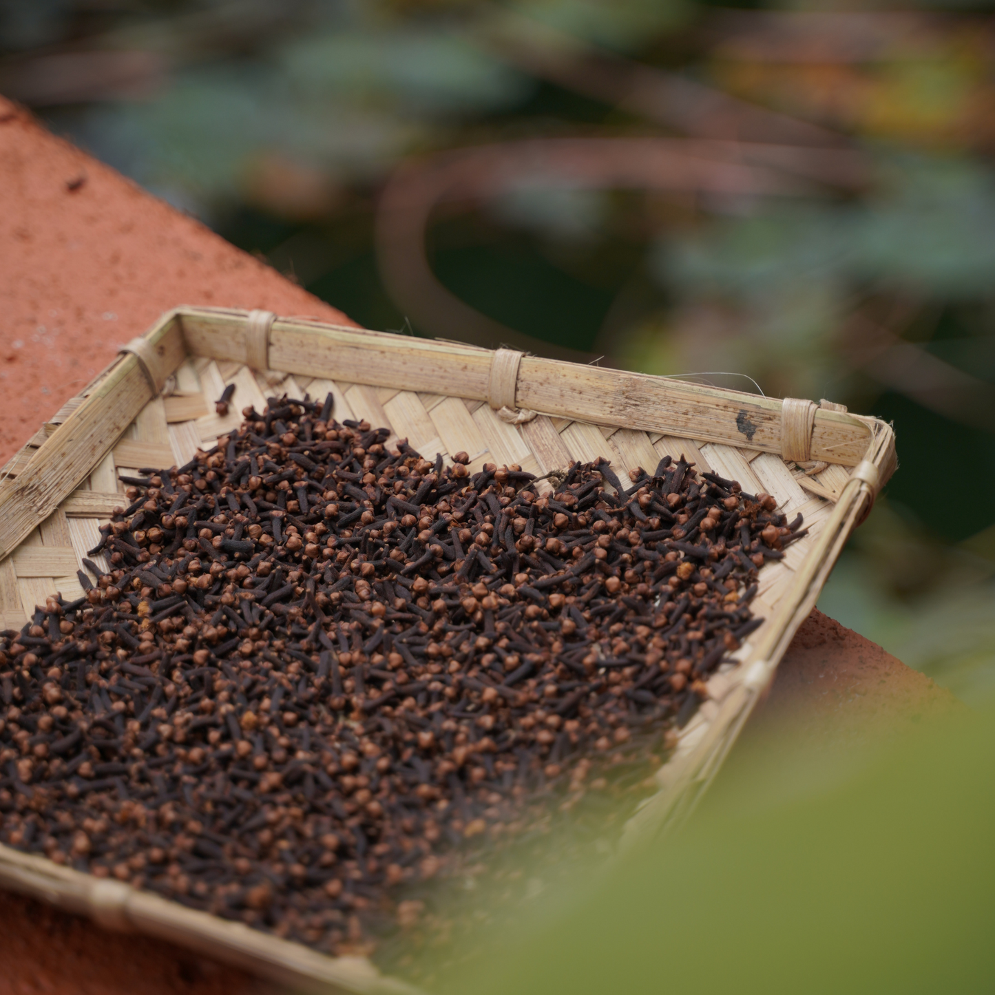 Naturally Grown Idukki Clove