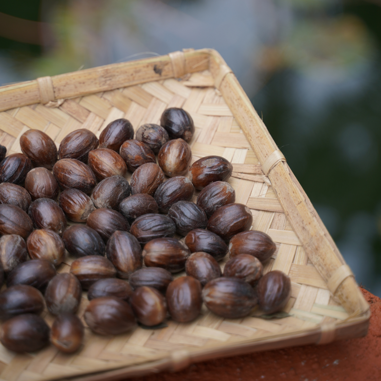 Idukki Whole Nutmeg with Shell 100 gm